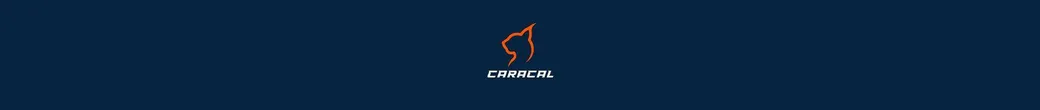 کاراکال گیر | caracalgear