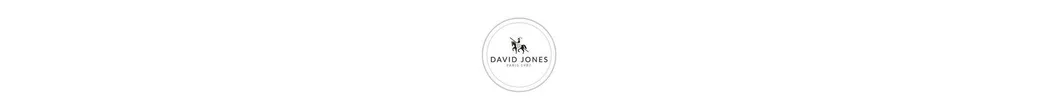 کیف و چمدان دیوید جونز | davidjones.kish