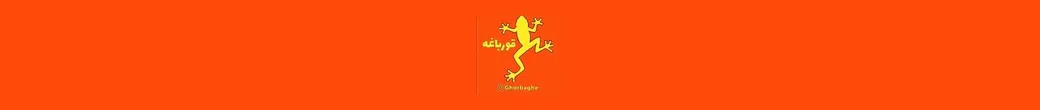 دنیای شگفتانگیز محصولات گورباغه | ghorbaghe_