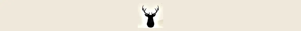 فروشگاه ملوق | melook.ir