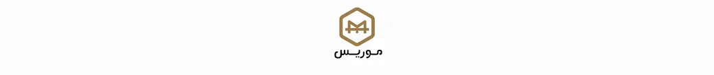لباسهای مجلسی و شیک | moriss.moood