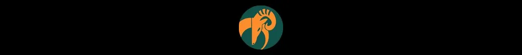 جذابیت به توان اصالت | mrcharm.ir