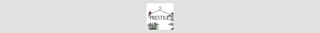 لباس مجلسی شیک و خاص | prestije.gallery