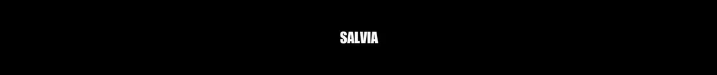 سالن زیبایی سالویا | salviacollection__