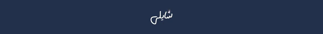 کیف شایلی | shayli_bags