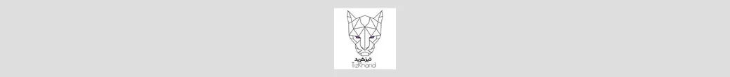 نهایت درخشش بانوان | tizkharid